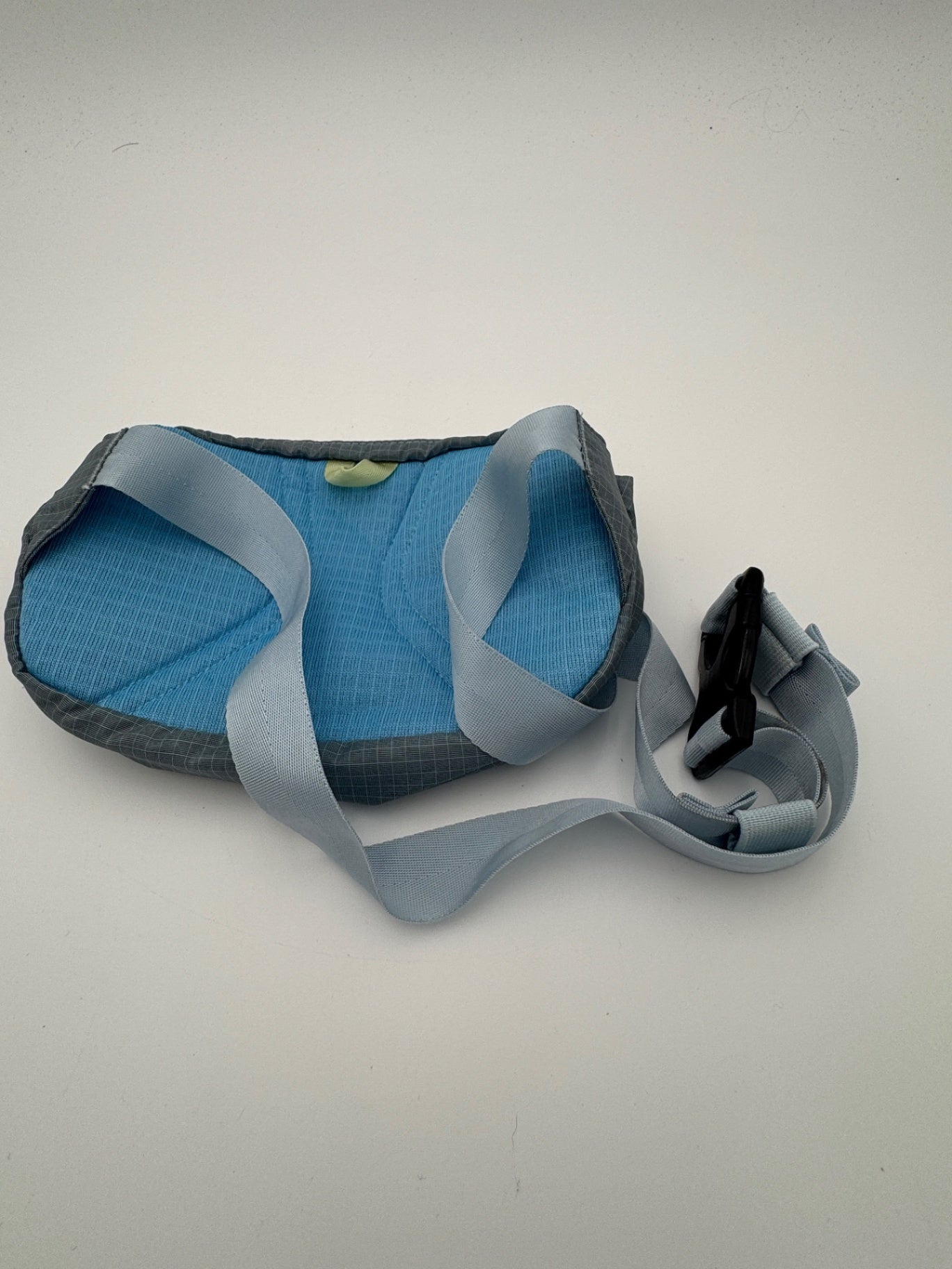 Patagonia Small Hip-Pack